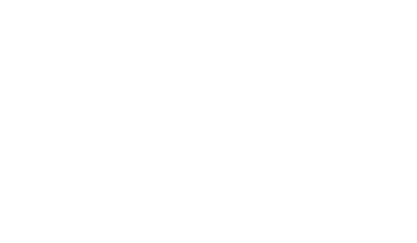 Connectivité RCad'Server CAD